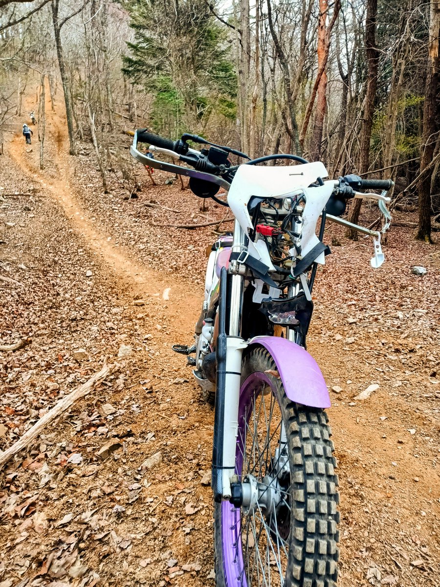 じん@なにわのオヤジ🏍人馬一体✨ tweet media