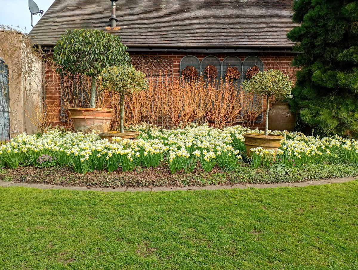 Stephen Shelley tweet media