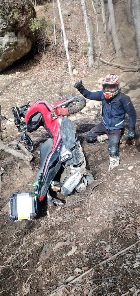 じん@なにわのオヤジ🏍人馬一体✨ tweet media