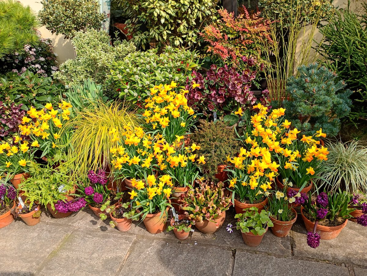 Stephen Shelley tweet media