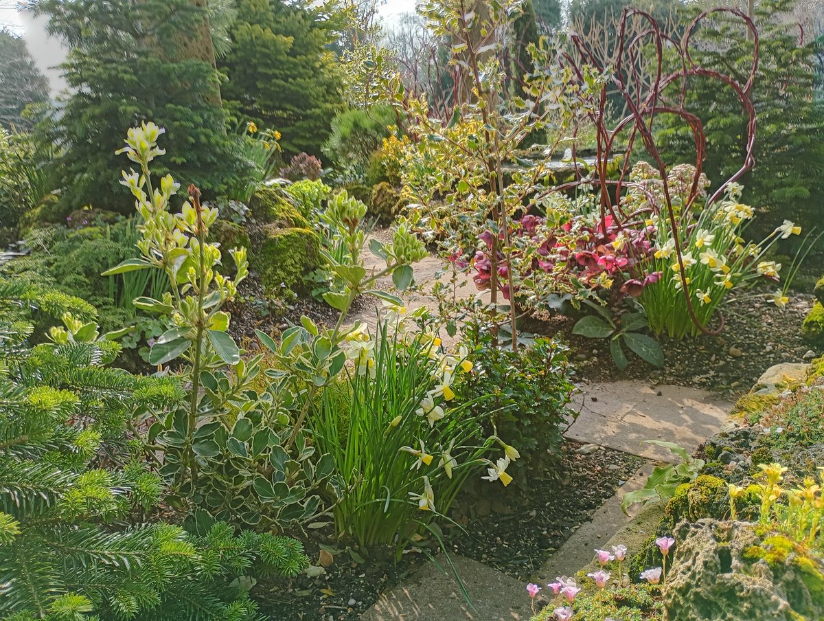 Stephen Shelley tweet media