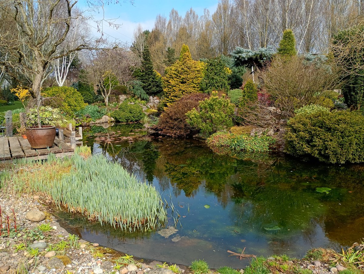 Stephen Shelley tweet media