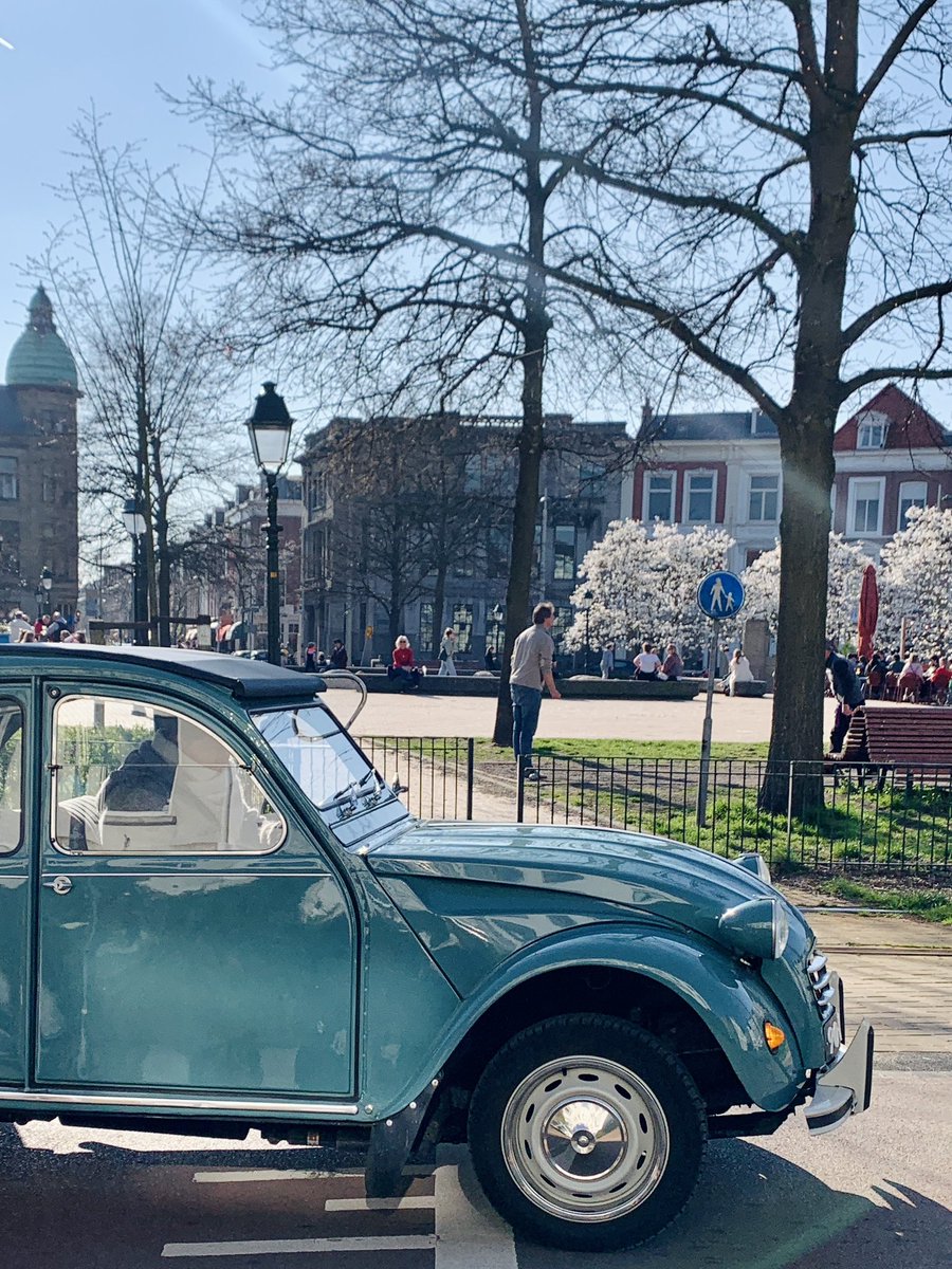 Denise Miltenburg tweet media