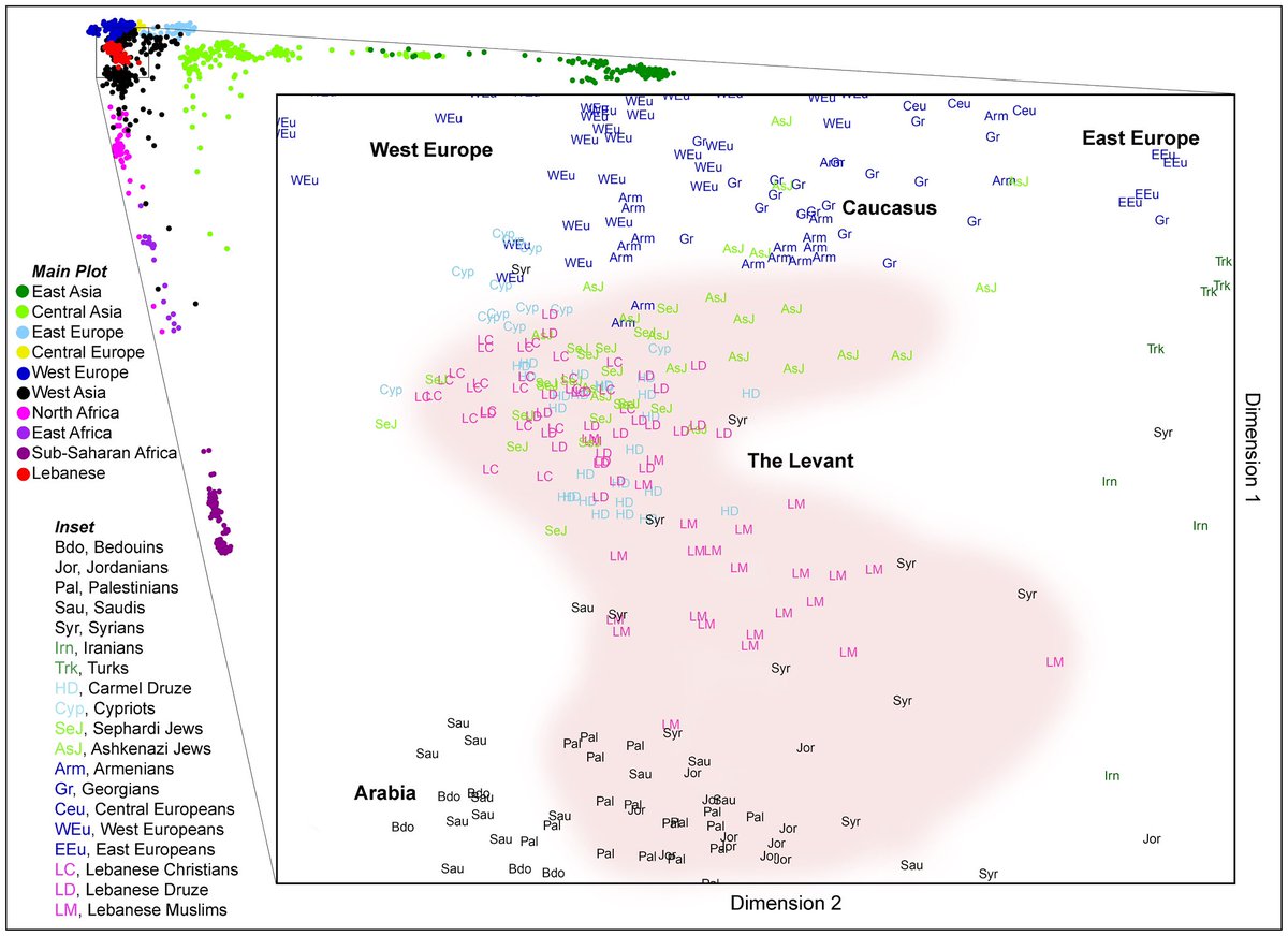 Ten Baylor tweet media