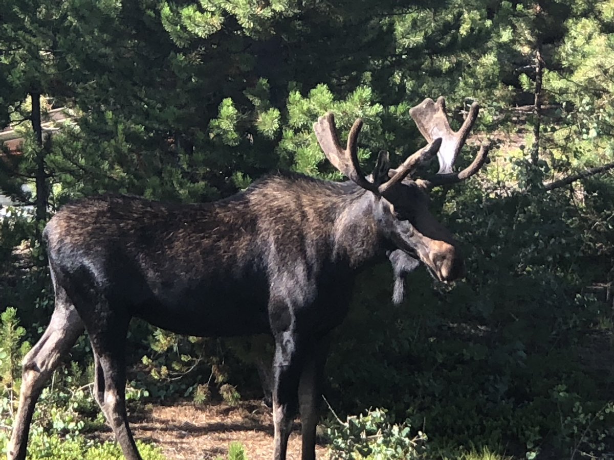 Ultra MAGA Colo303 🍊 tweet media