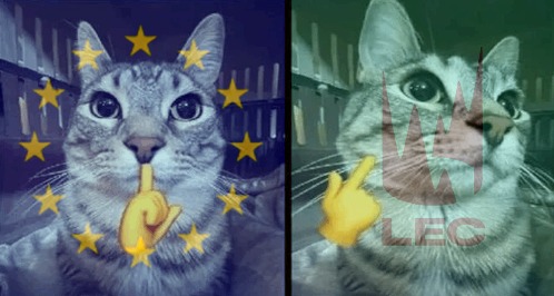 Eefje Depoortere tweet media