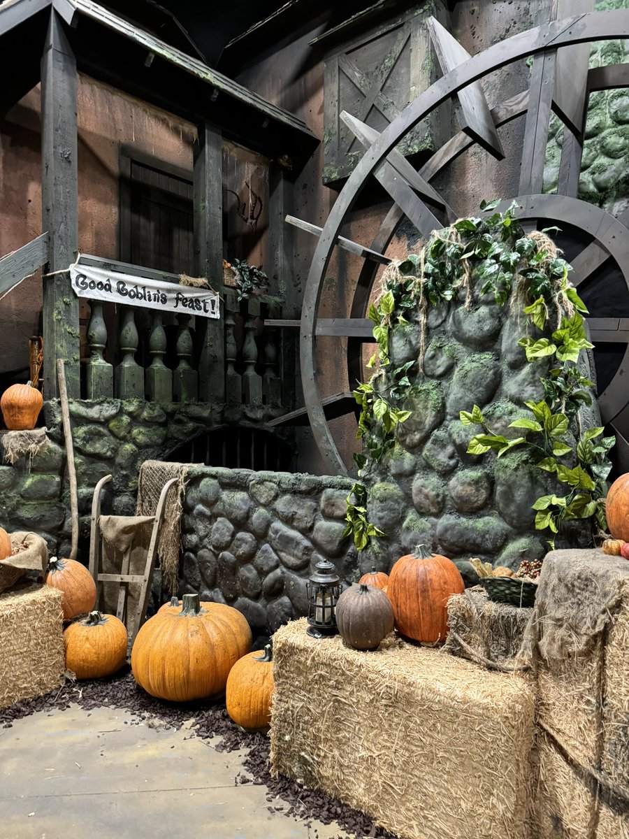 Kaley Bug Barmy (Plastico™) tweet media