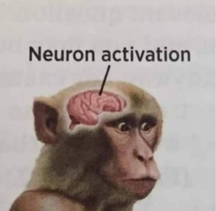 ビンチャ🔞 tweet media