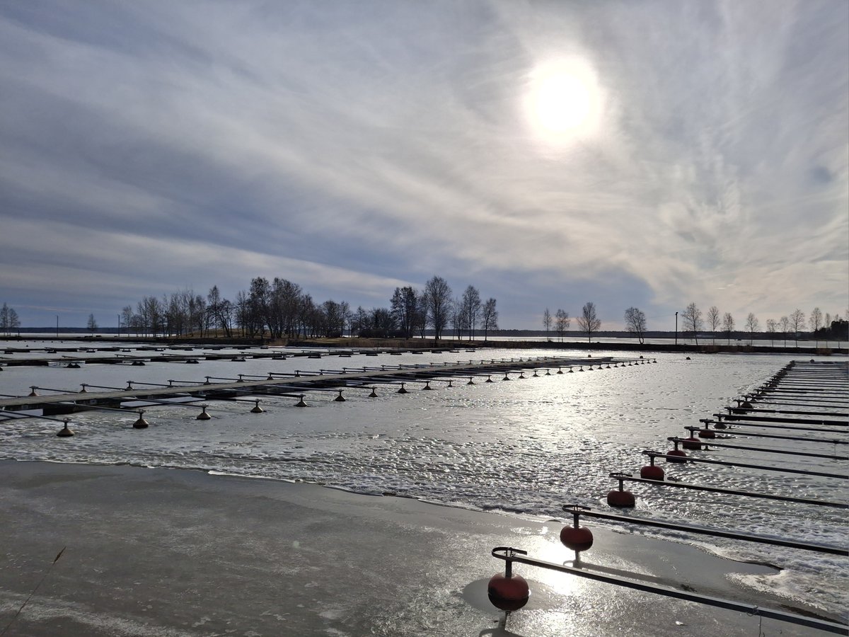 Markku Kallio tweet media