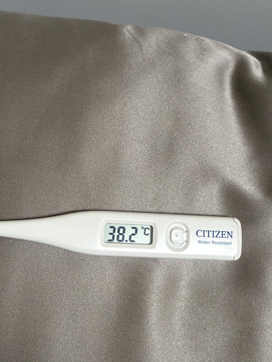 あさり🦎🍎🍏 tweet media