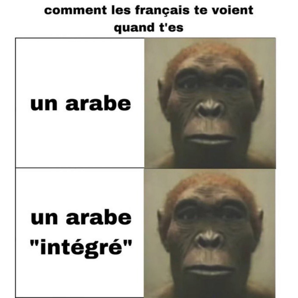 Yams 🥤 tweet media