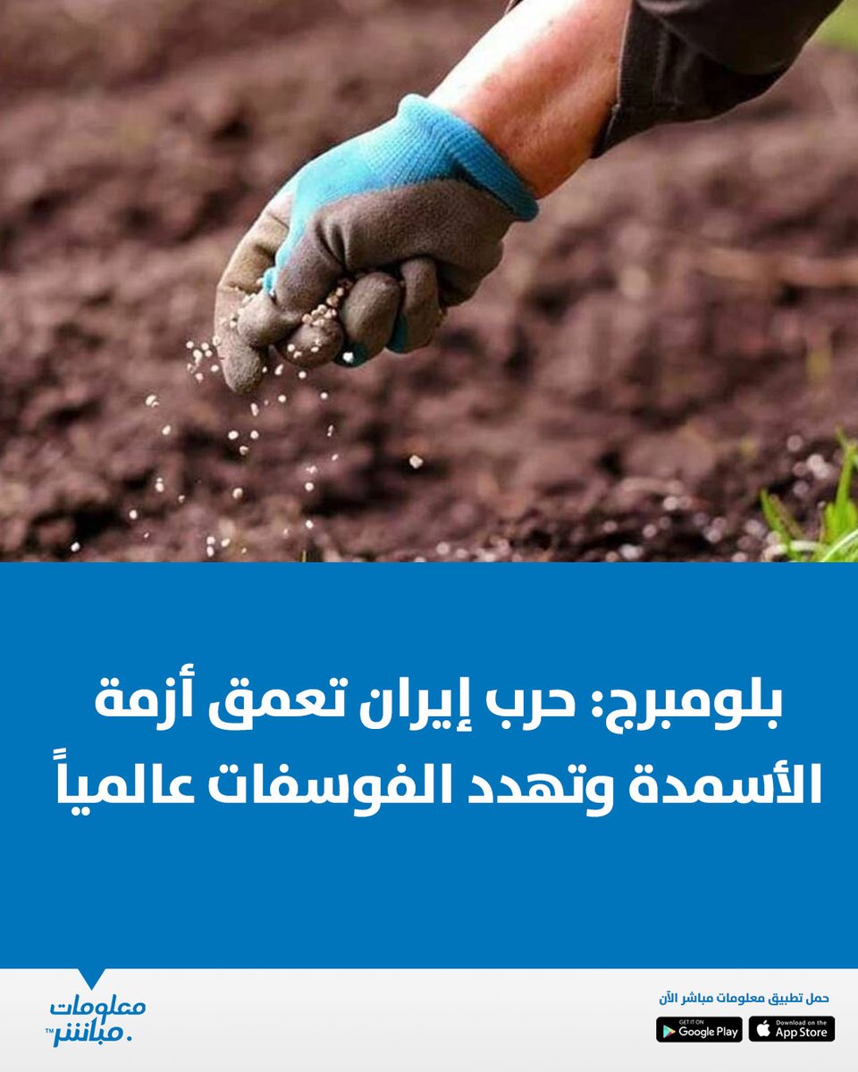 معلومات مباشر tweet media