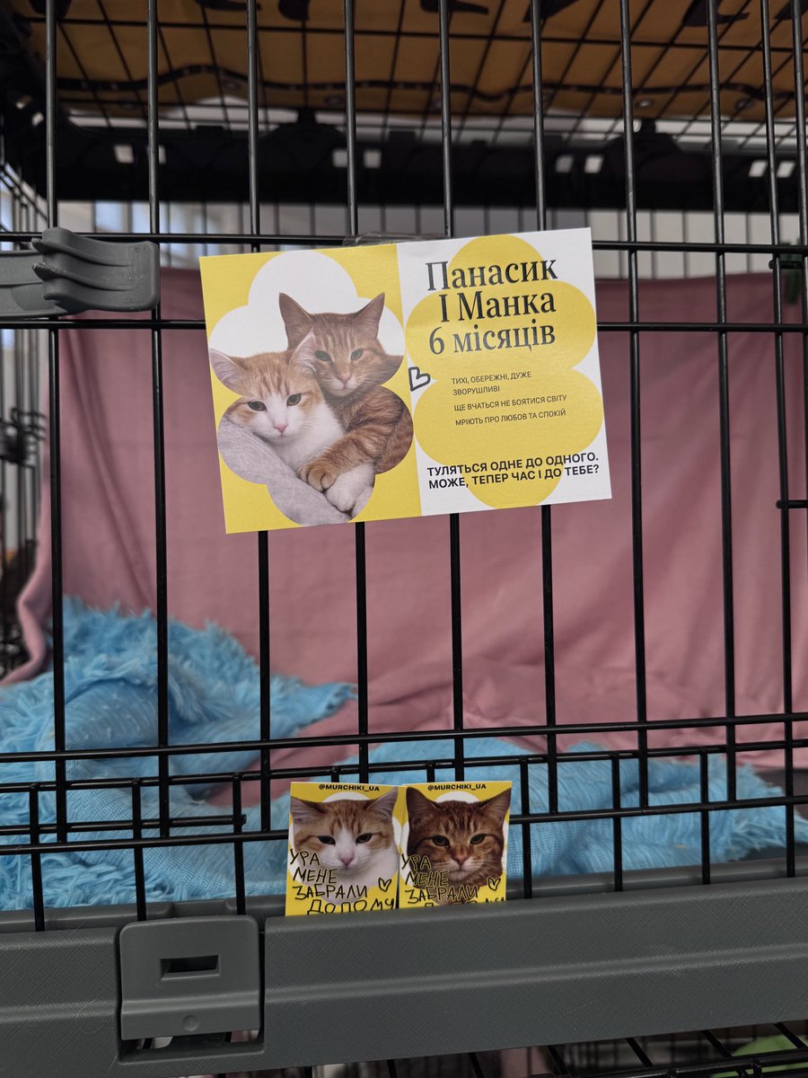 Вгадайте, кого забрали разом в один дім...