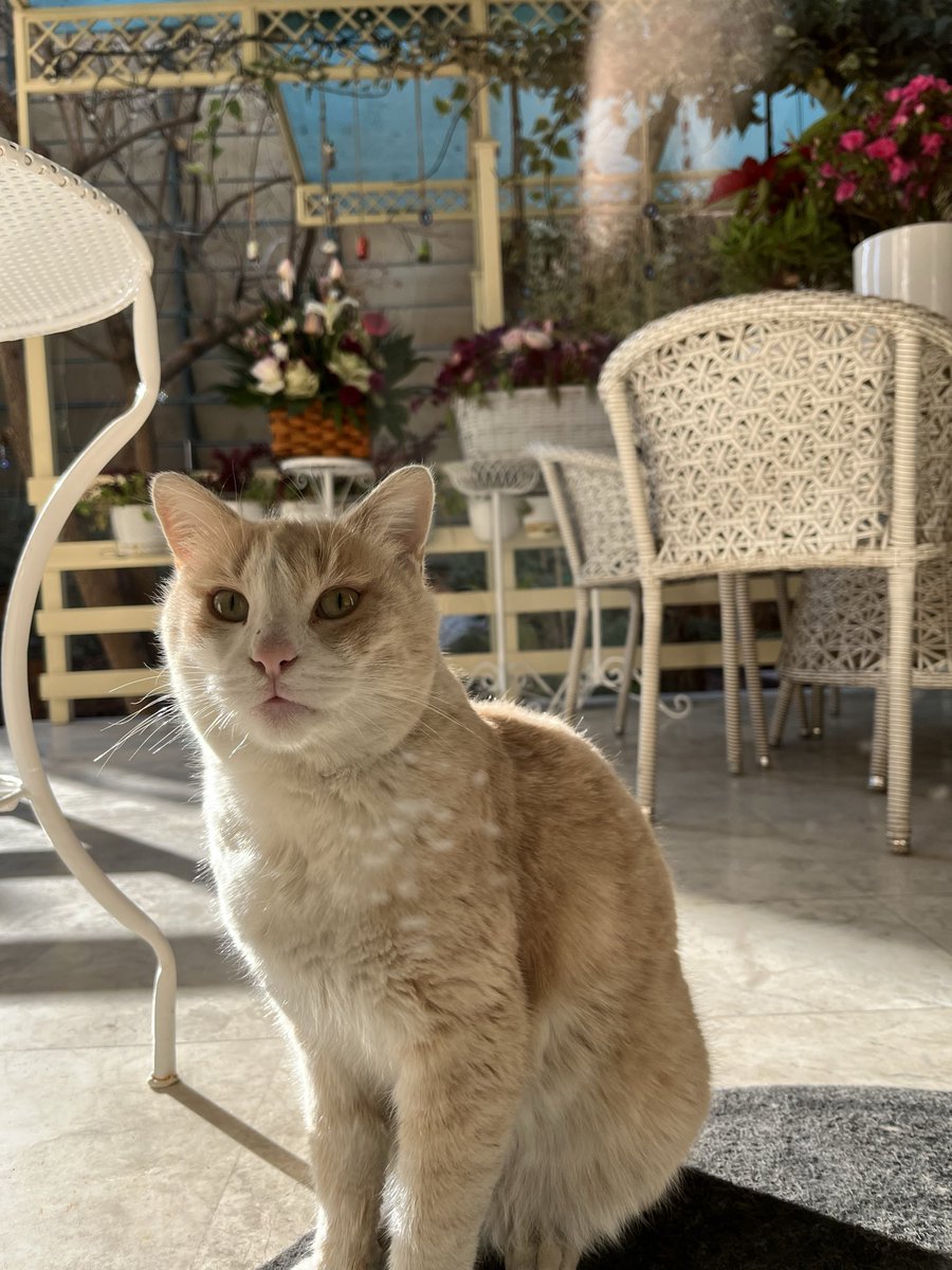 ppɐɹ uıɹɹou tweet media