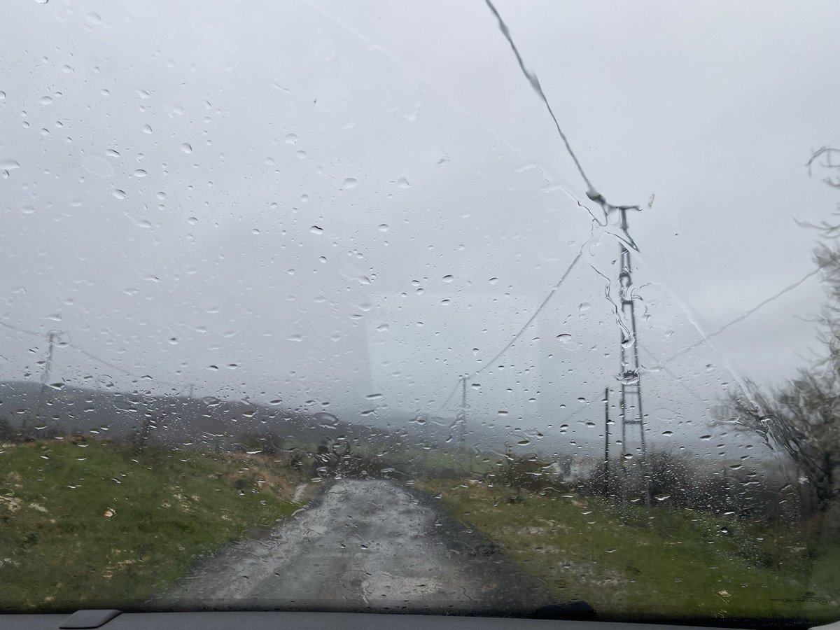 bedothings tweet media