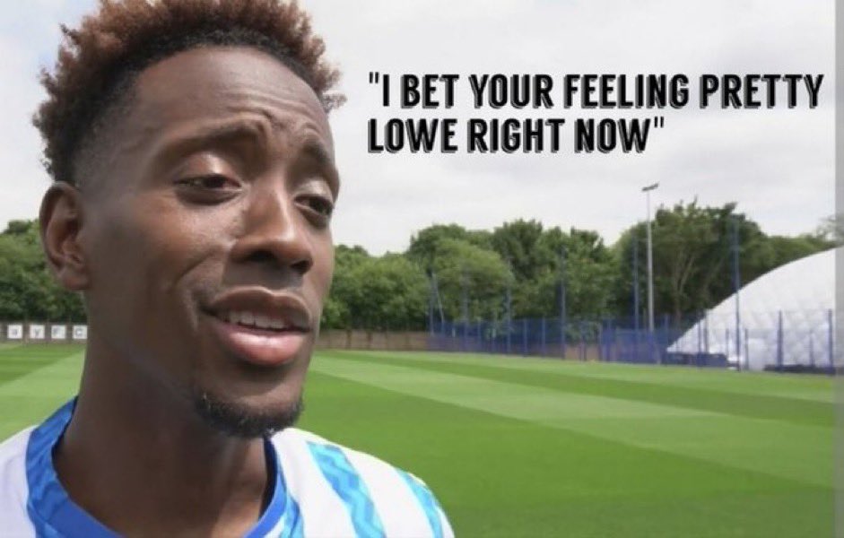 dan 🦉 🍊 tweet media