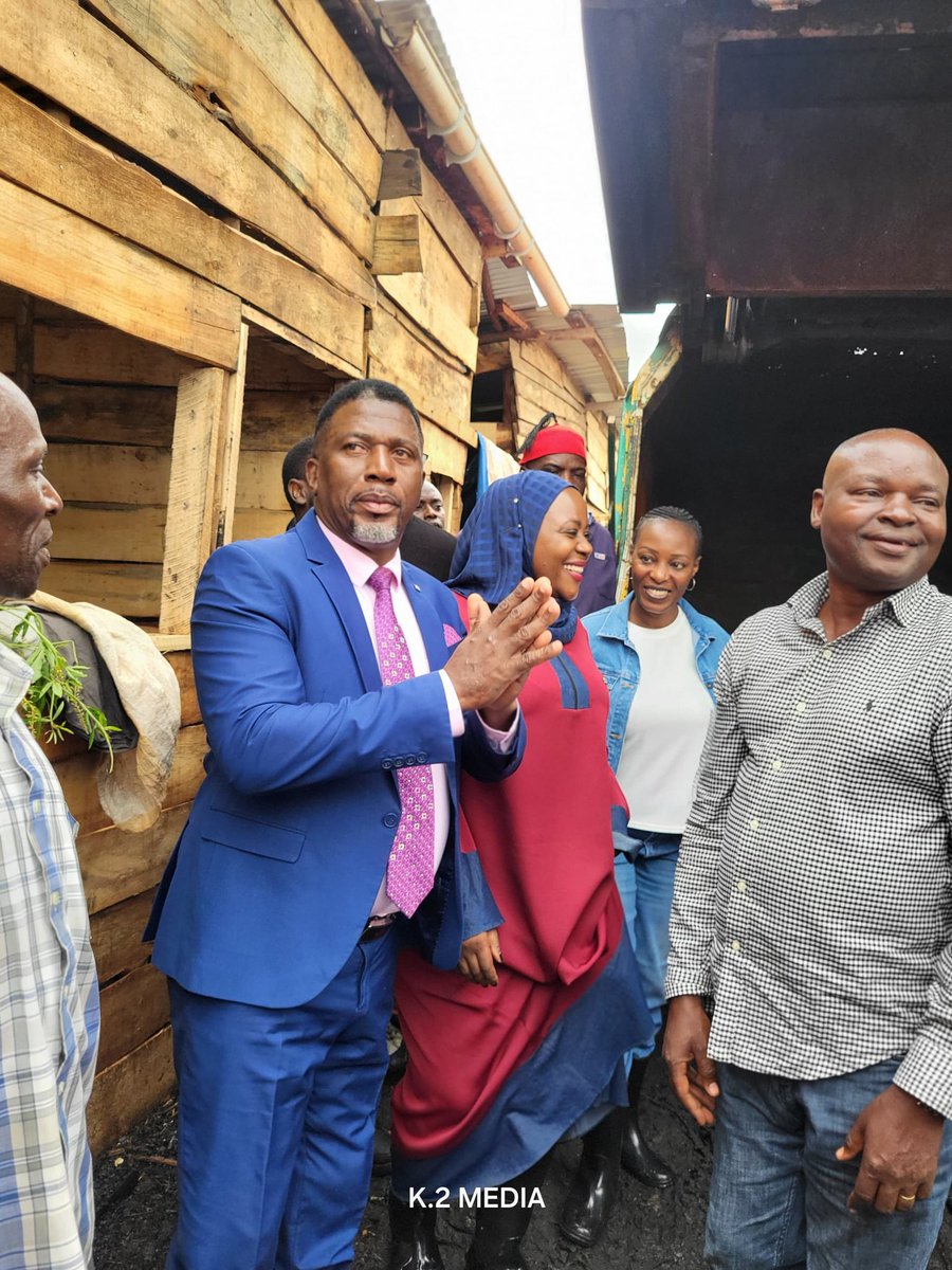 Rexba limited tweet media