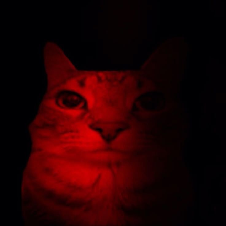 helly baker🫀 tweet media