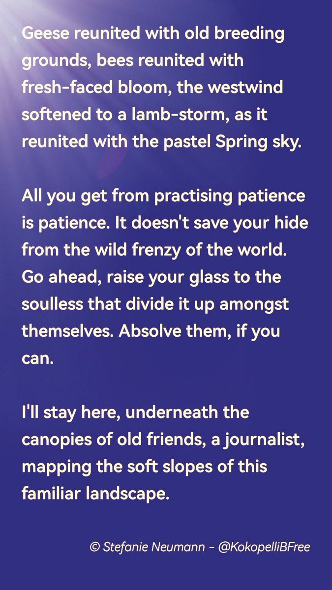 Stefanie Neumann tweet media