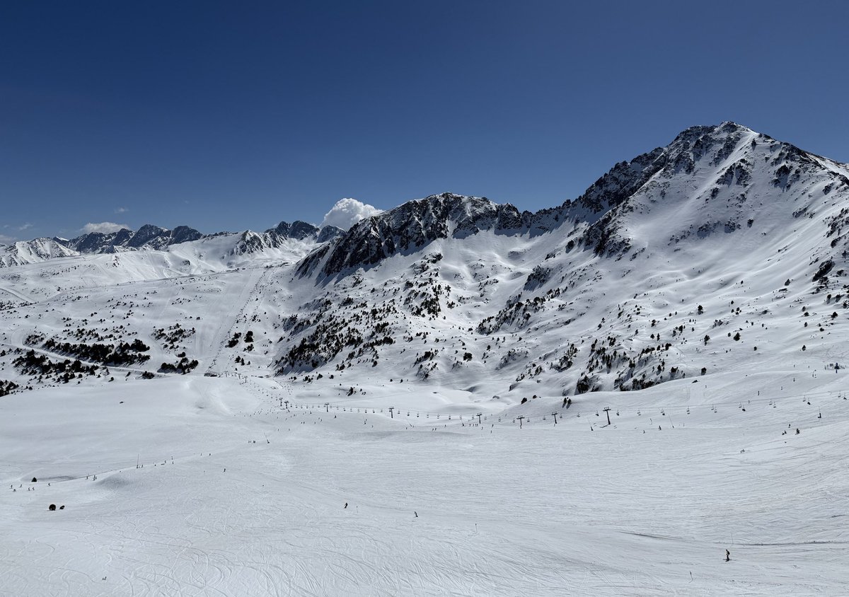 Ricard Riba Alcobé tweet media