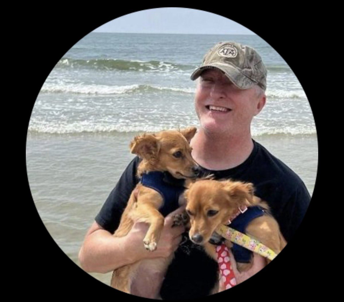 🌸 1 🌸 tweet media