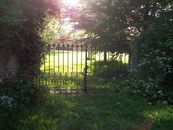 Lily ✮⋆˙ tweet media