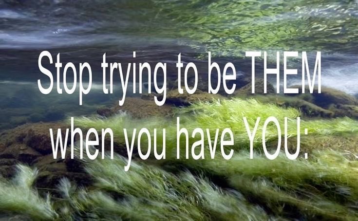 Lily ✮⋆˙ tweet media