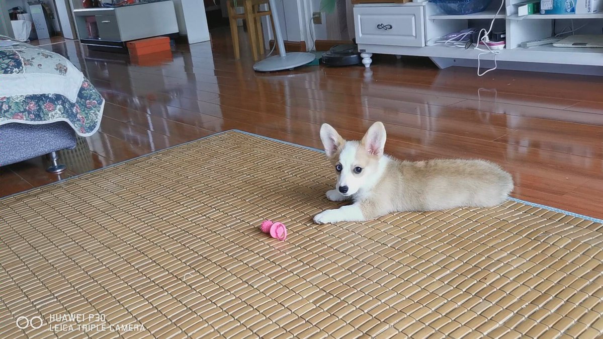 Jennifer Lange tweet media