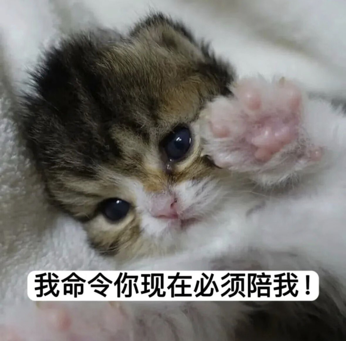 奕晴📷 tweet media