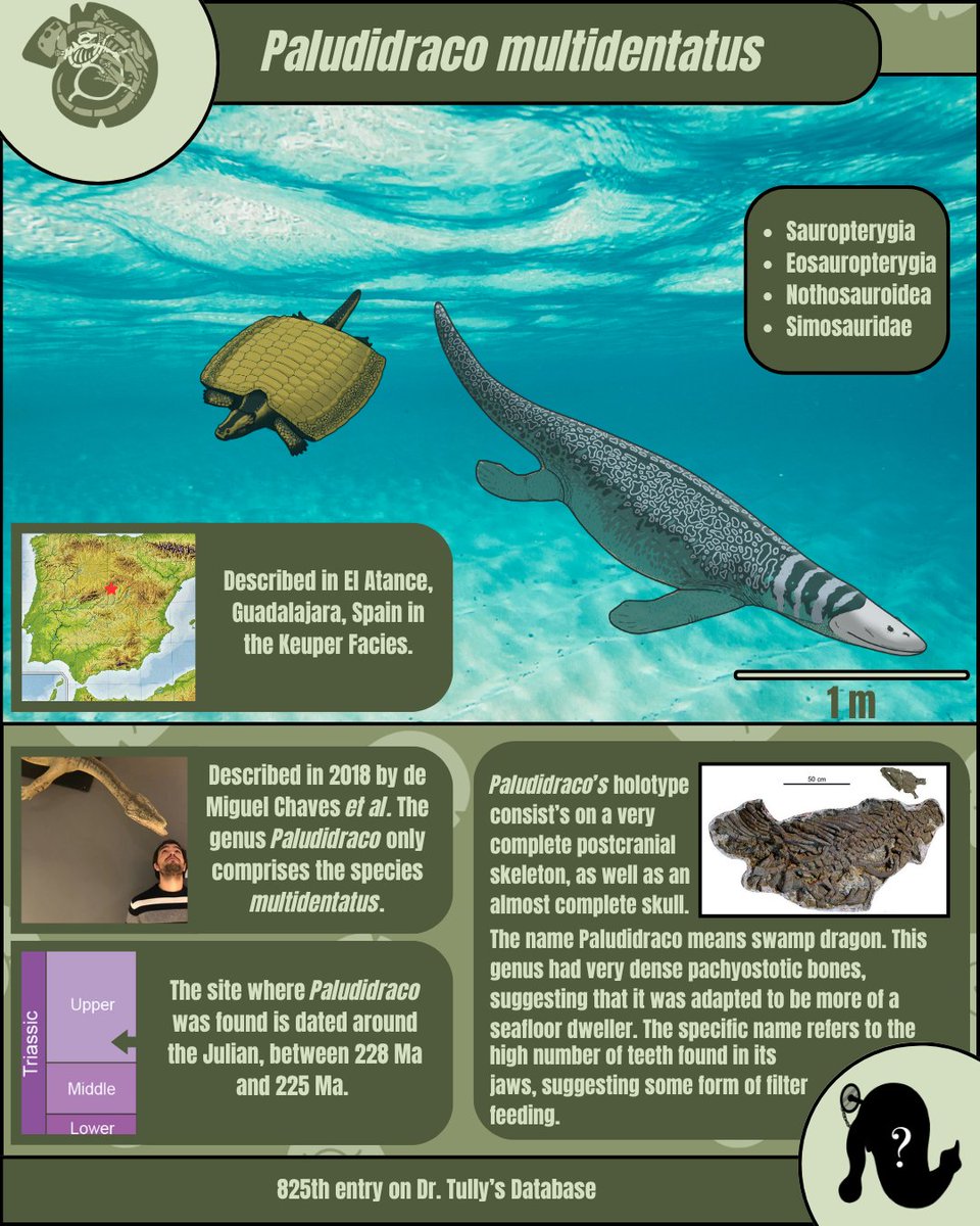 Evoguesser tweet media