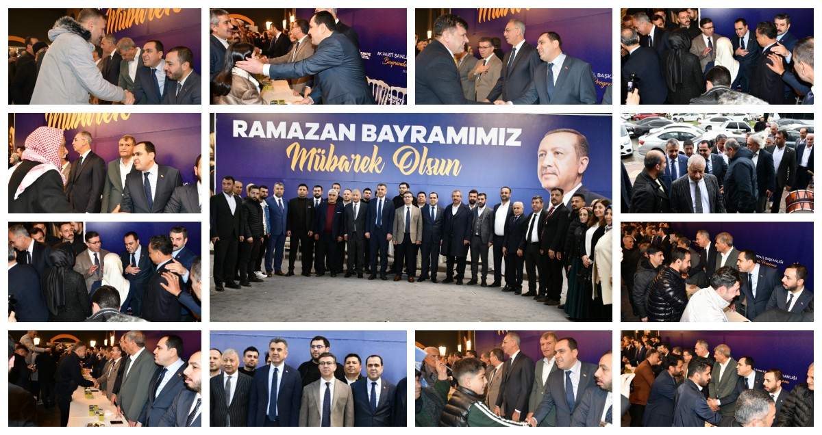 Mehmet BEGİT tweet media