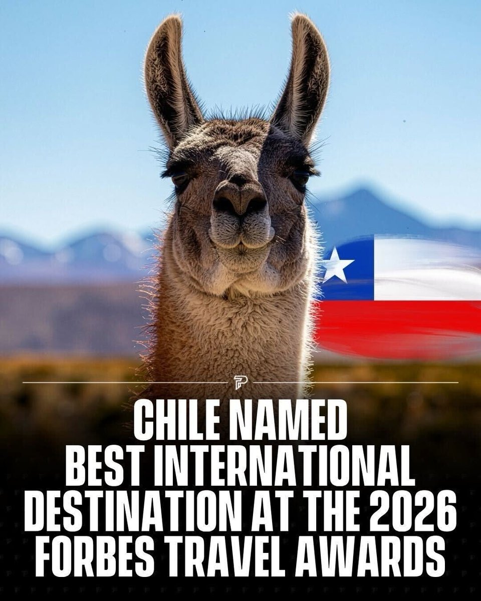 Ciudadano Roberto Kiltro tweet media