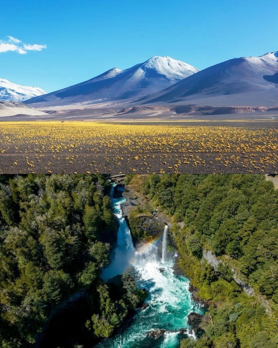 Ciudadano Roberto Kiltro tweet media