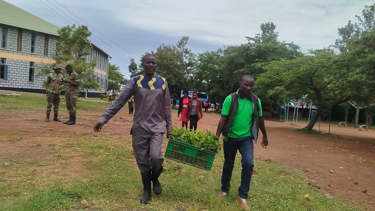AbabuNamwamba's tweet photo. To mark the International World Forest Day, @AN__Foundation supported the reforestation of Namenya hills in an exercise led by the Kenya Forest Service (KFS) Port Victoria Station and two hundred youth from five Technical Colleges across Busia County (Bumbe National Polytechnic, Bunyala, Dr Wako, Chemasiri, and Butula TVCs), hosted by the Young Catholic Association (YCA) of St. Nicholas Port Victoria Catholic Parish. Over 1000 trees were planted. 

Namenya Hill becomes the 3rd block I have adopted in Busia County for restoration and regeneration, joining the Port Victoria Forest Station/Njalagobe Hills and the Singwe ecosystem. Port Victoria Forest Station is a 601.6-hectare conservation area located in Bunyala Sub-County, Busia County, managed by the KFS and encompassing the four key hills of Mumbaka, Wanga, Namuluku, and Nanyungu. It is the only forest in Busia County and plays a crucial role in nourishing the Yala Swamp. In less than a year I have added over 2000 trees to the Port Victoria Forest ecosystem, and distributed hundreds of fruit trees to the local community.

Nationally, I have adopted three other natural ecosystems across Kenya: Arabuko Sokoke Forest in Kilifi County, Kwale County Mangrove Forest and Cheptais Forest Block of Mt. Elgon, for purposes of sustained regeneration and protection.

At below 1.0% Busia has among the lowest forest cover ratios in Kenya, way below the national average of just under 10% (itself still quite low). Everyone must do more to reverse this, by growing and nurturing our environs for our own good and for the good of our children and their children.

I thank Mr. Job Wakoli, Manager of the Port Victoria Forest Station and his Officers for their continued support. I commend our young people from across Busia County for choosing to be part of the solution to the big environmental challenges facing our world, and my home Catholic Parish, St. Nicholas Port Victoria, for being the perfect host. 

I was represented at today’s exercise by Pastor John Osimbo, Director, Kenya Film Classification Board.