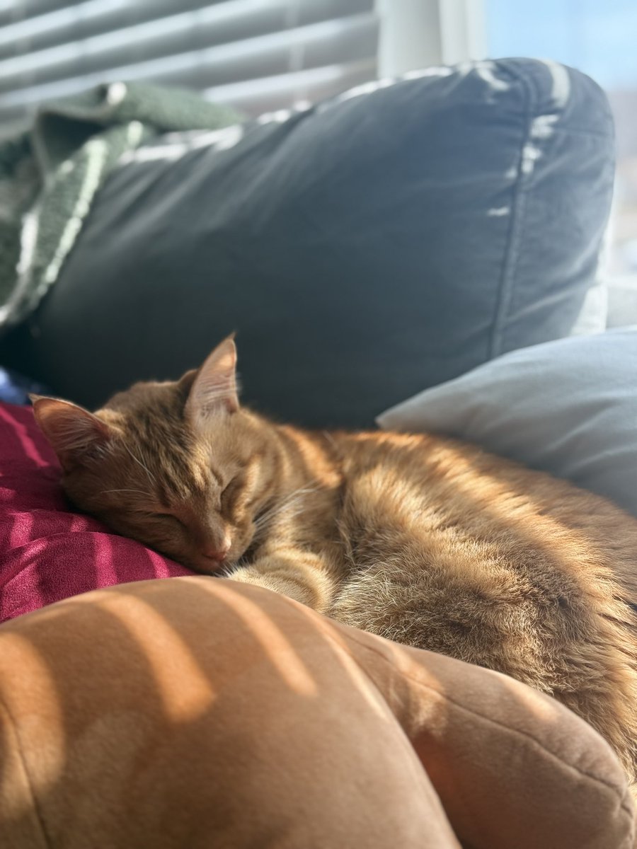 🖤 DARK 🖤 RE 9 MARATHON 🖤 tweet media