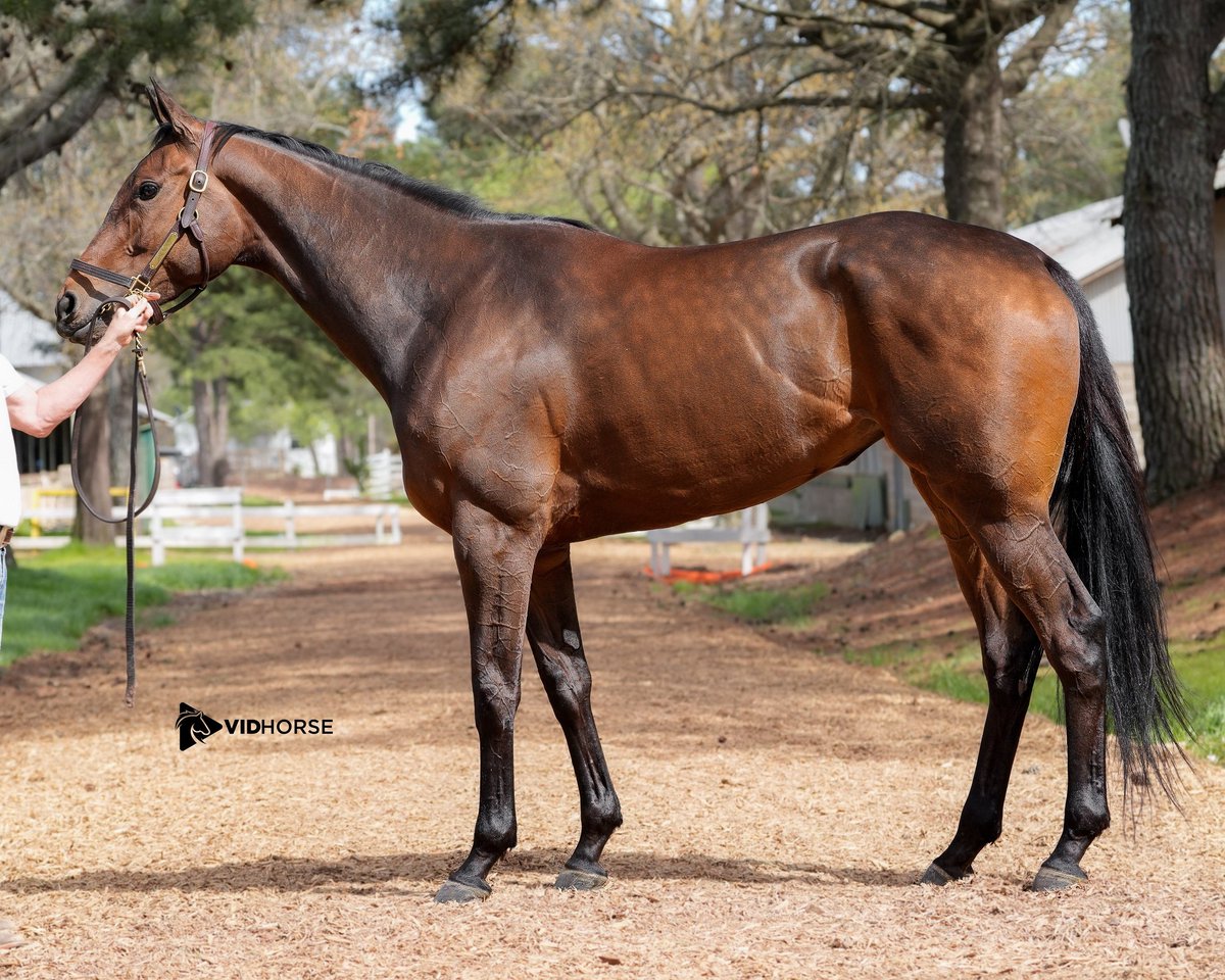 Taylor Made Farm tweet media