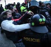 Šárka Dittrichová tweet media