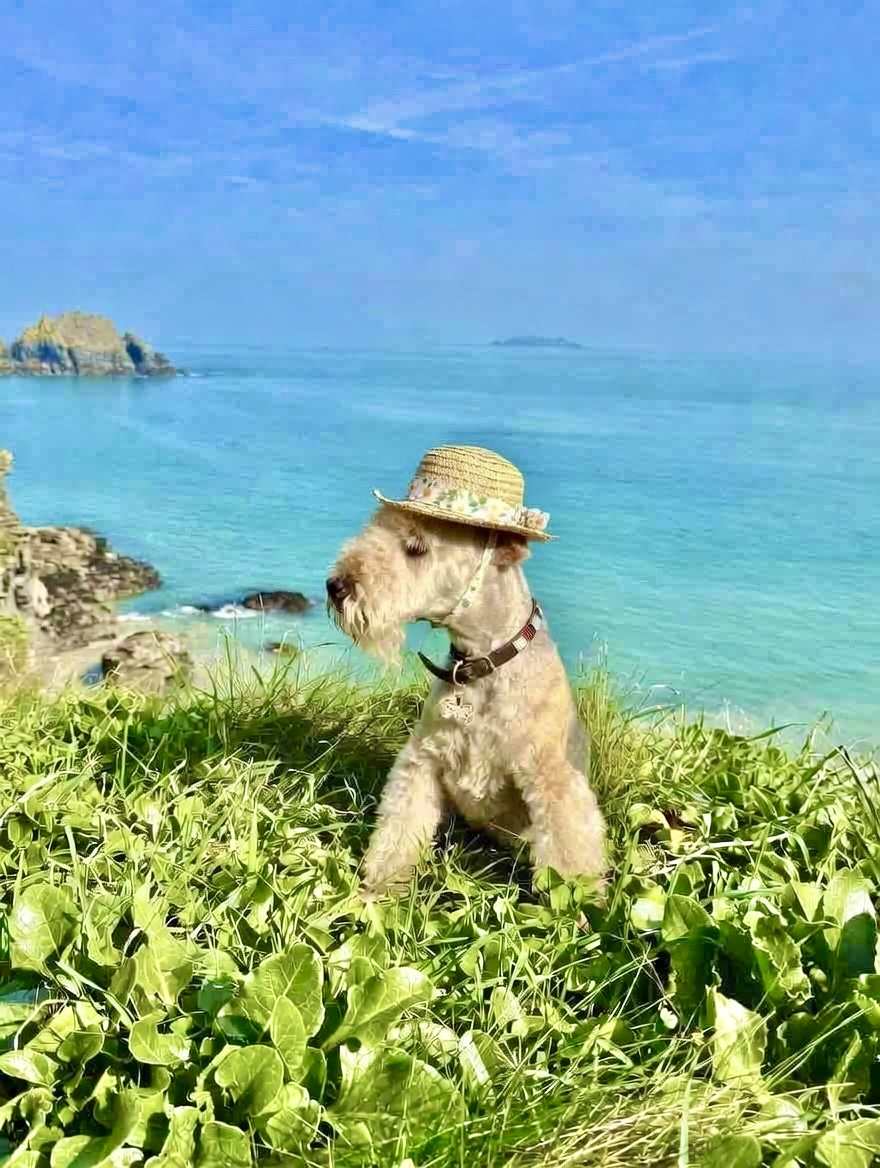 Bertie Lakeland tweet media