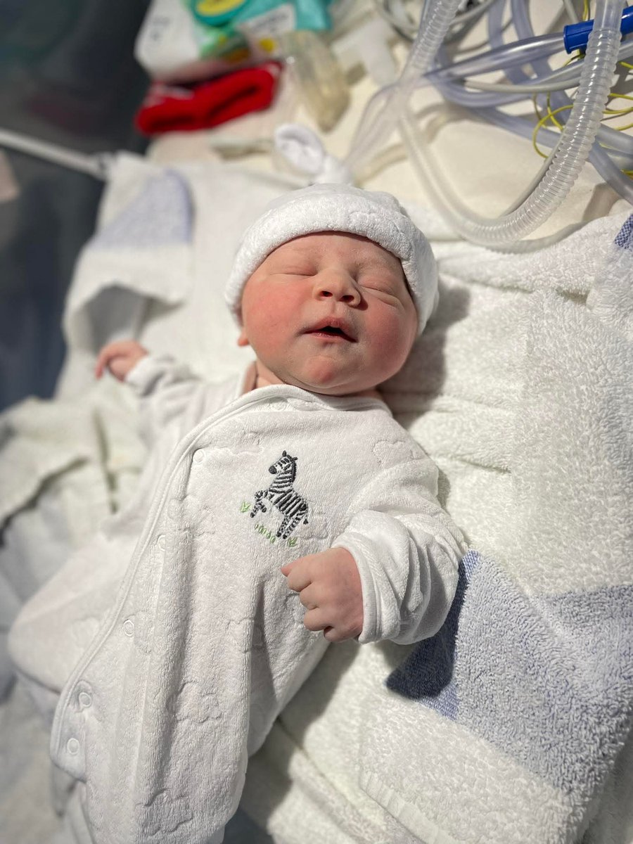 Martin Evans tweet media