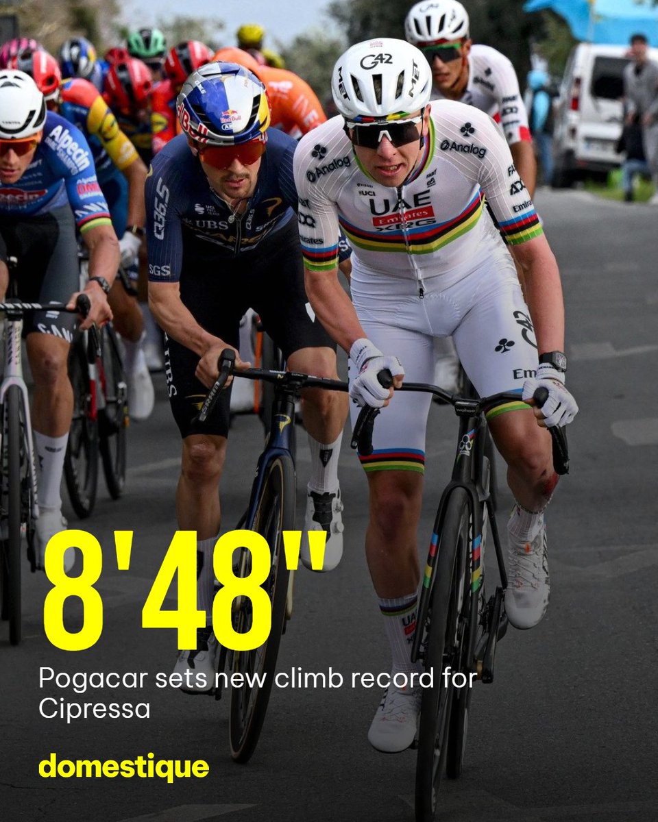 Domestique tweet media