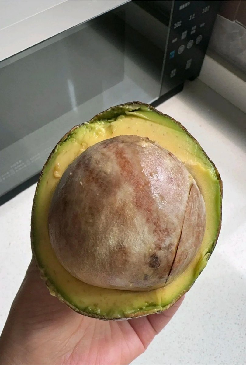 lindsey gillespie tweet media