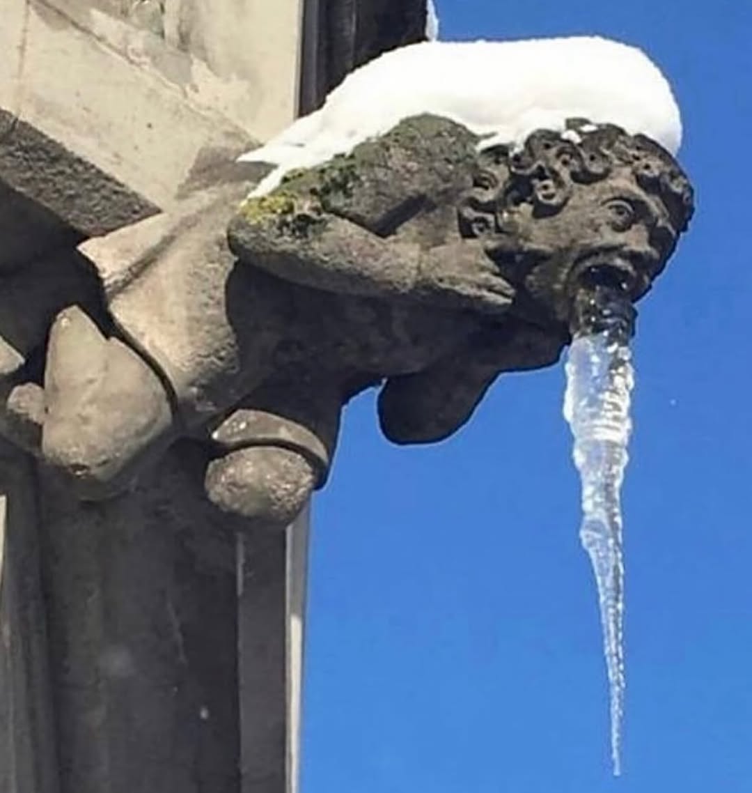 LeoDaVinciWave tweet media