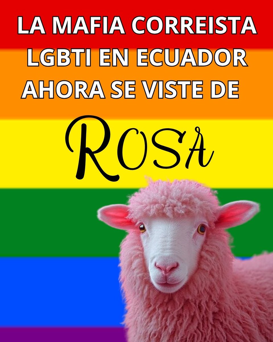 albergueyksaTransEc tweet media