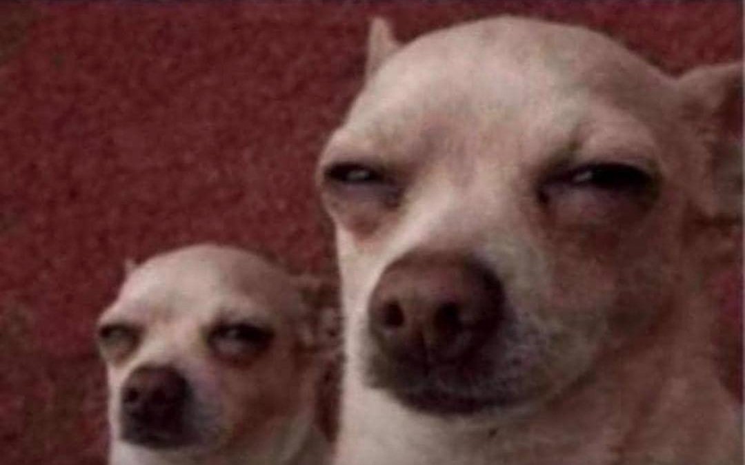 Satoshi Fada † 🦅 tweet media