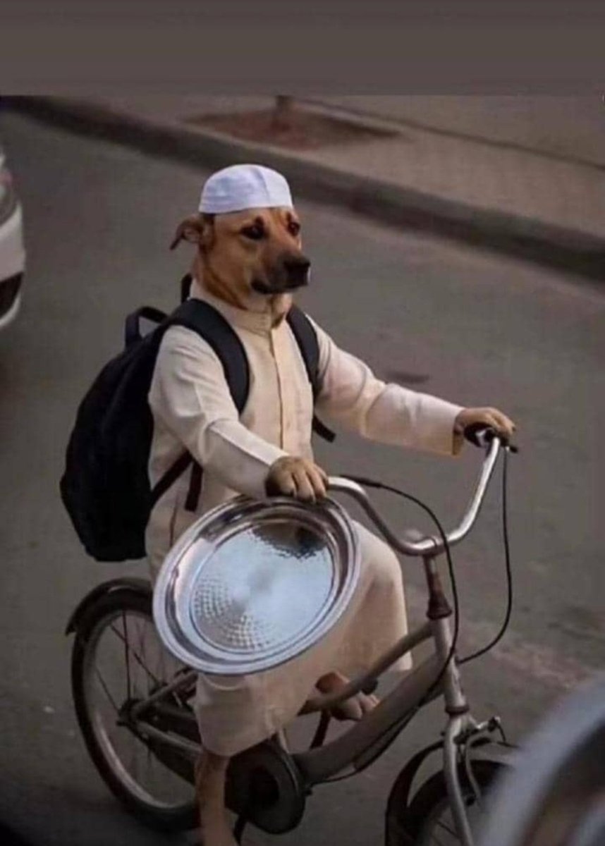 JunTao(韬韬)🇹🇿 tweet media