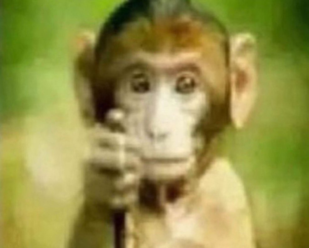 abe simpson tweet media