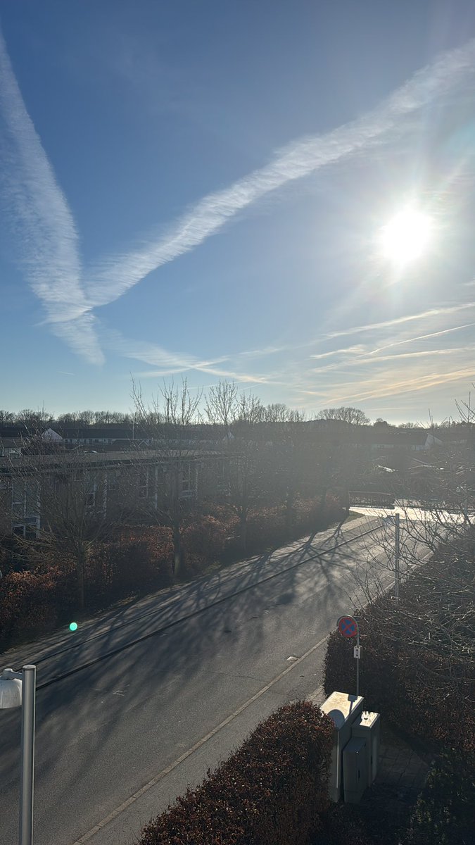 Jacqueline 🟠 tweet media