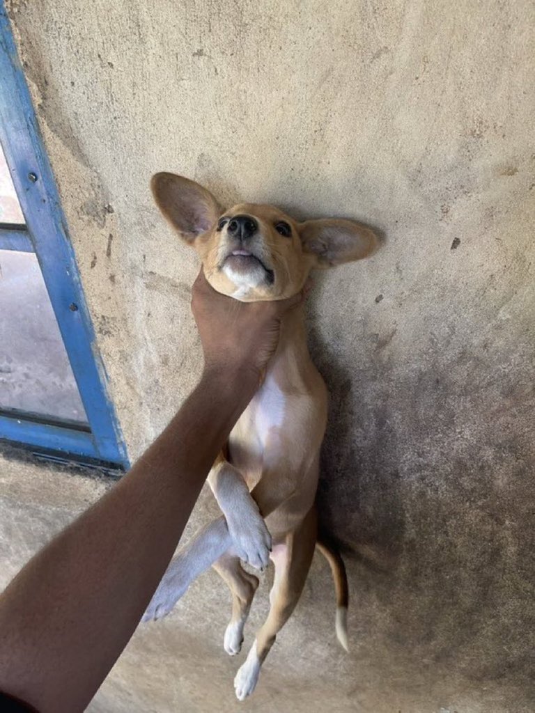 Wizdom | Full stack developer tweet media