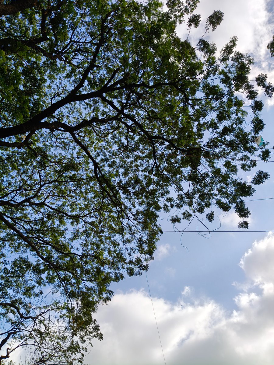 WinterGeek tweet media