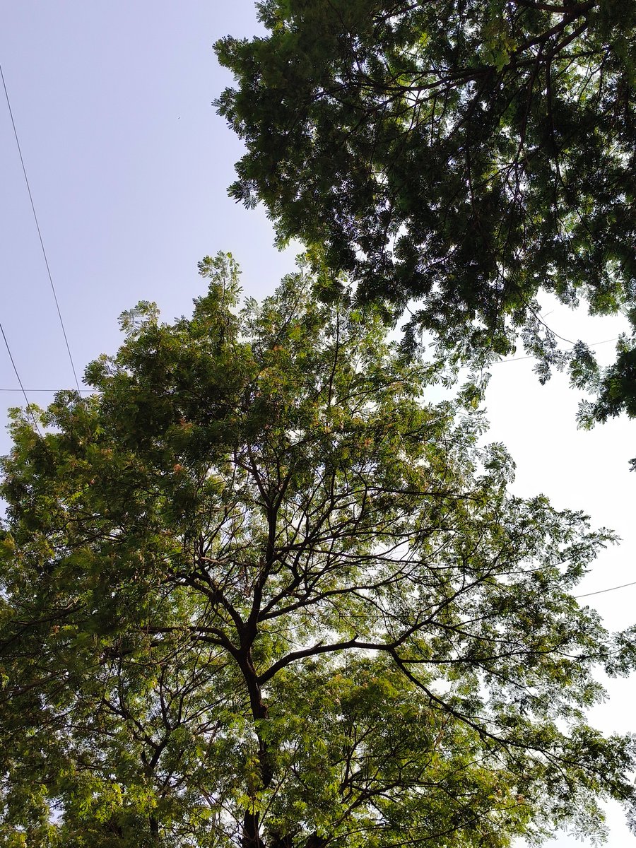 WinterGeek tweet media